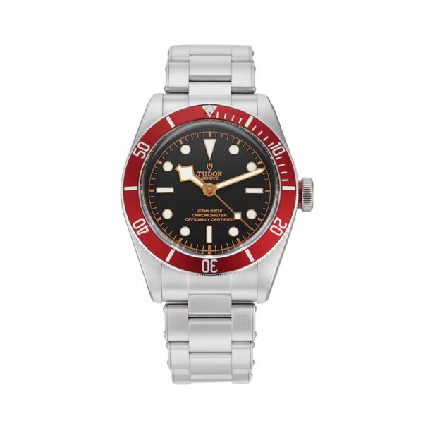 **EARLY BIRD DISCOUNT**🔥❤️ TUDOR BLACK BAY HERITAGE ❤️ - 41MM - 🔥 GRAIL ALERT!! 🔥 ONLY 249 TICKETS MAX!!! - Image 2