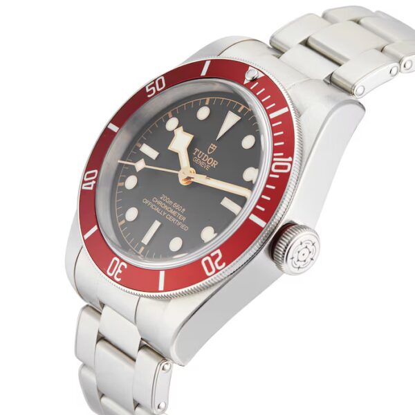 **EARLY BIRD DISCOUNT**🔥❤️ TUDOR BLACK BAY HERITAGE ❤️ - 41MM - 🔥 GRAIL ALERT!! 🔥 ONLY 249 TICKETS MAX!!! - Image 3